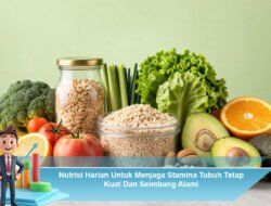 Nutrisi Harian Untuk Menjaga Stamina Tubuh Tetap Kuat Dan Seimbang Alami