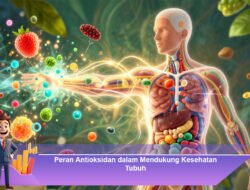 Peran Antioksidan dalam Mendukung Kesehatan Tubuh